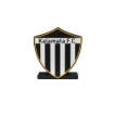 ΦΩΤΙΣΤΙΚΟ 3D ΘΥΡΕΟΣ KALAMATA F.C.
